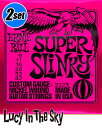 ERNIEBALL ( アーニーボール ) エレキ弦 Super Slinky #2223［.009-.042］2set