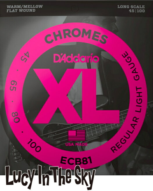 D'Addario  ꥪ  ١ Chromes Bass Light #ECB81.045-.100