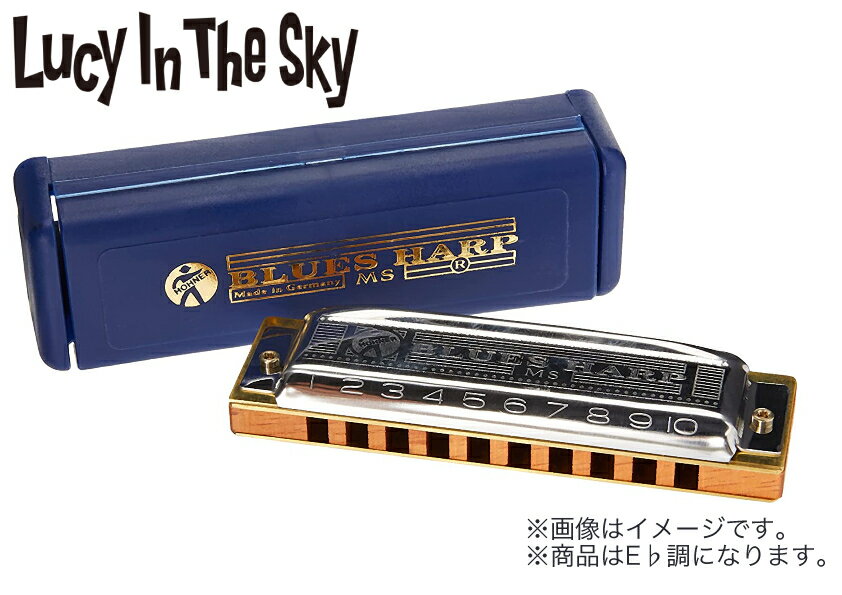 HONER ( ホーナー ) BLUES HARP X 532/20 MSX 10 ホールズ ( E♭ )