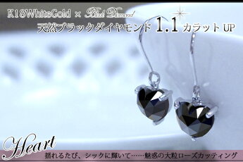 メイン1(Y)