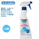 ドクターベックマン　黄ばみ・しみトリ　スプレータイプ 部分洗い洗剤 プレウォッシュ デリケート素材用 250ml 汚れ落とし　しみ抜き　シミ抜きP25Apr15 dr beckman