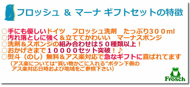 【のし無料＆バッグ付】　フロッシュ (Frosch)マーナスポンジ　ギフトセット　 (食器用キッチン洗剤（アロエベラ等）300ml & スポンジ 【HLS_DU】（引き出物/引出物/出産内祝い/快気祝い/結婚式/内祝い/お返し/引越しご挨拶/香典返し