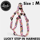 ドッグハーネス 犬用ハーネス Leeds Dog Supply リーズドッグサプライ LUCKY STEP IN HARNESS Sサイズ 日本代理店正規品