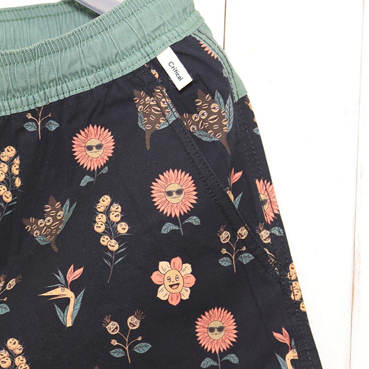 ボードショーツ サーフパンツ Critical Slide クリティカルスライド TCSS ティーシーエスエス VOICES 16 TRUNK BS24093