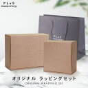 ギフト プレゼント 贈り物 包装 袋 ショップバッグ BOX ボックス 紙袋 プリュ クリスマス ホリデー バレンタイン ホワイトデー 誕生日 母の日 父の日 ...