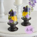 デンファレ プリザーブドフラワー ガラスドーム お供え花 紫 仏花 供花 ドーム仏花 対のデザイン お供え花 お悔み ガラスドーム仏花 小さめ 仏壇用 一対【永咲】