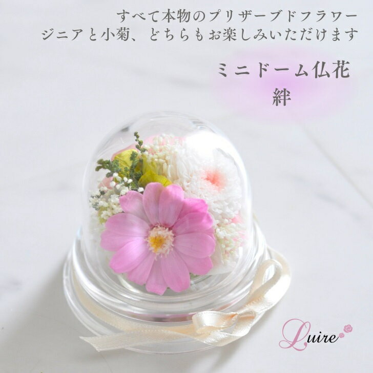 ミニドーム仏花小菊プリザーブドフラ...