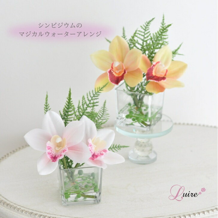 楽天市場】シンビジューム ラッピング（花・ガーデン・DIY）の通販