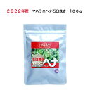 【送料無料】2022年産　マハラニヘナ　100g　石臼挽き　ヘナトリートメント　無農薬