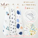 19％OFF 日本製 【速乾 薄手】 ガーゼタオル ハンドタオル 3枚セット 男の子柄 楽天1位 / 約34×35cm タオル 薄手 ループ付 吸水 速乾 ベビー 子供 保育園 幼稚園 ギフト セット SALE バーゲン 送料無料