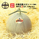 夕張日原メロン 特大玉 2玉入(4.0kg以上) 送料無料 北海道産メロン 産地直送 ギフト お中元 贈り物 果物 甘い フルーツ 人気 お取り寄せ 夕張メロン 日原メロン 北海道のフルーツ 夏ギフト お取り寄せグルメ お返し プレゼント 高品質