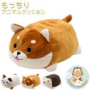 もっちりクッション (もっちりアニマルクッション) クッション 動物 犬 いぬ 猫 ねこ はりねずみ もちもち 枕 ぷにぷに ぬいぐるみ かわいい