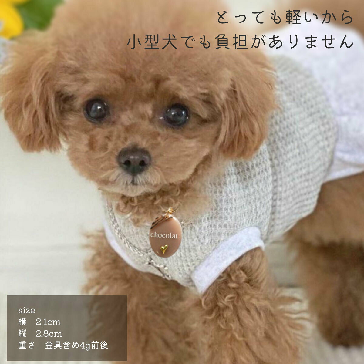 【ショコラネームタグ】バレンタイン ギフト 迷子札 ネームタグ ネームプレート ド...