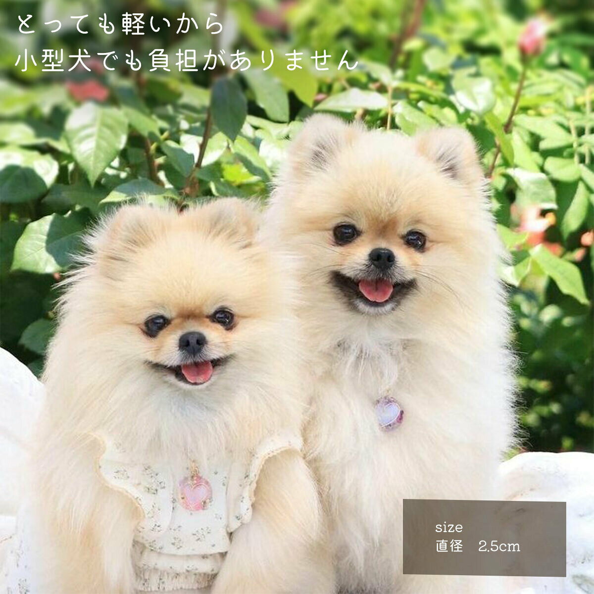 【ハートフラワーネームタグ】 迷子札 ネームタグ ネームプレート ドッグタグ ペッ...