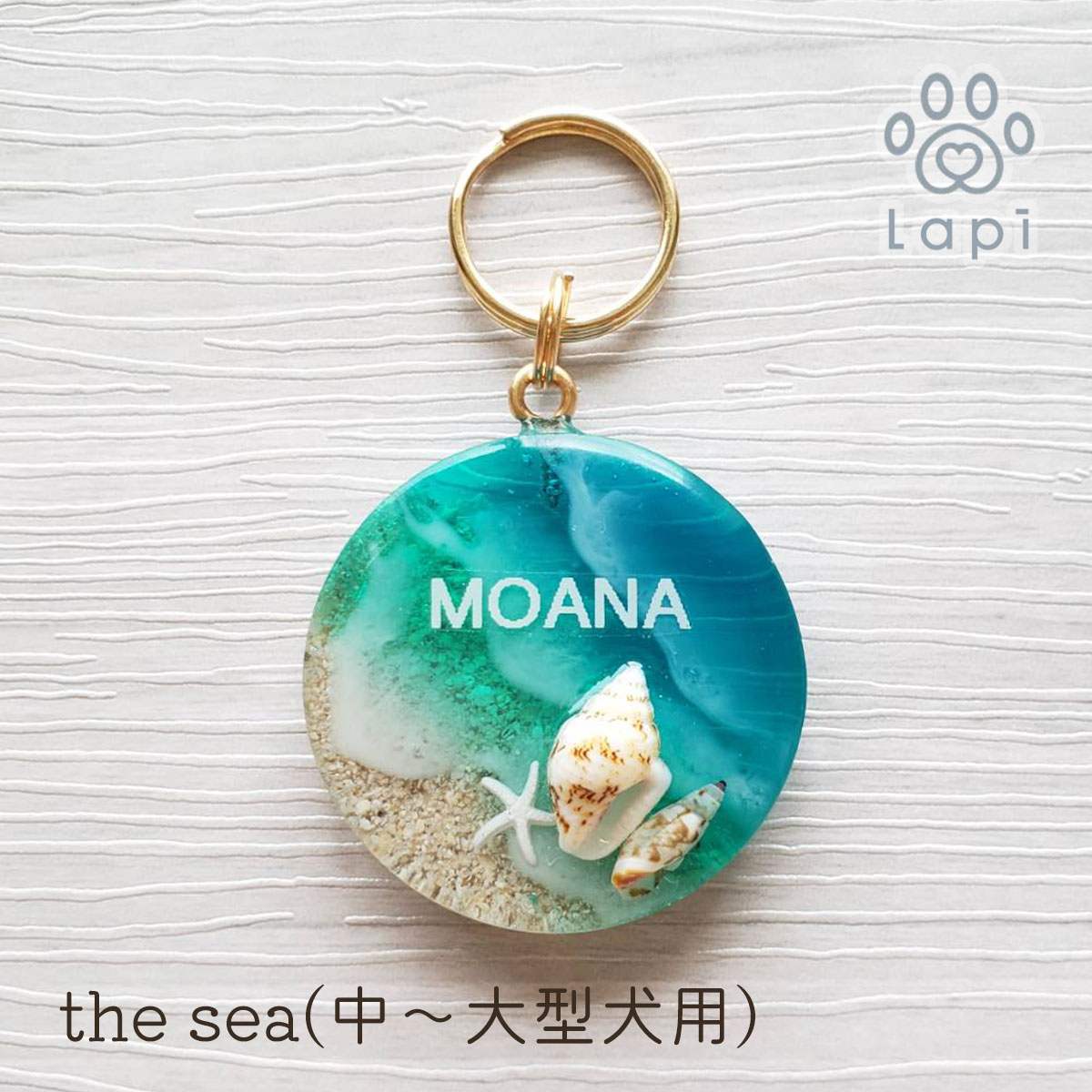 the sea ͡ॿ緿ѡˡ »һ ͡ॿ ͡ץ졼 ɥå ڥå  ǭ »ɻ ե ڤ ...