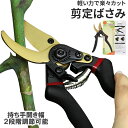 【庭師監修】剪定バサミ 剪定鋏 えだきりばさみ ガーデニング 園芸用品 ハサミ Luluben