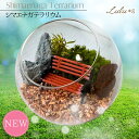 「シマエナガと森のひと休み テラリウム」 プリザーブドモス ガラスドーム ギフト 記念日 お祝い 苔 テラリウム 手入れ不要 フィギュア付き 雪の妖精 シマエナ...