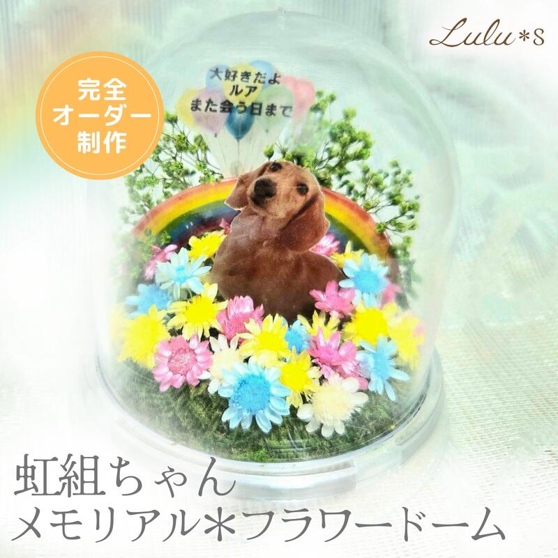 【完全オーダーメイド】 Lulu＊s ルルズ 虹組ちゃん メモリアル フラワードーム 写真 名入れ メッセージ ペット 供養 お供え お悔やみ 遺影 手元供養 虹の橋 犬 猫 うさぎ 小動物 ドライフラワー 仏花 花 命日 ギフト 2905