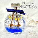 水のほとりのシマエナガ ハーバリウム プリザーブドフラワー ドライフラワー ブルー 雪の妖精 可愛い かわいい 退職 北海道 インスタ映え 海 マリン ギフト ...