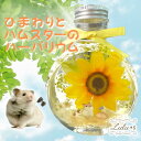 ひまわり ハムスター ハーバリウム ヒマワリ 夏 プリザーブドフラワー 向日葵 プリザードフラワー ドライフラワー お花 敬老の日 ギフト 誕生日 プレゼント ...