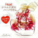 ハート Heart シマエナガ ハーバリウム 雪の妖精 プリザーブドフラワー ドライフラワー プリザーブド フラワー プレゼント ギフト 誕生日 おしゃれ 可愛...