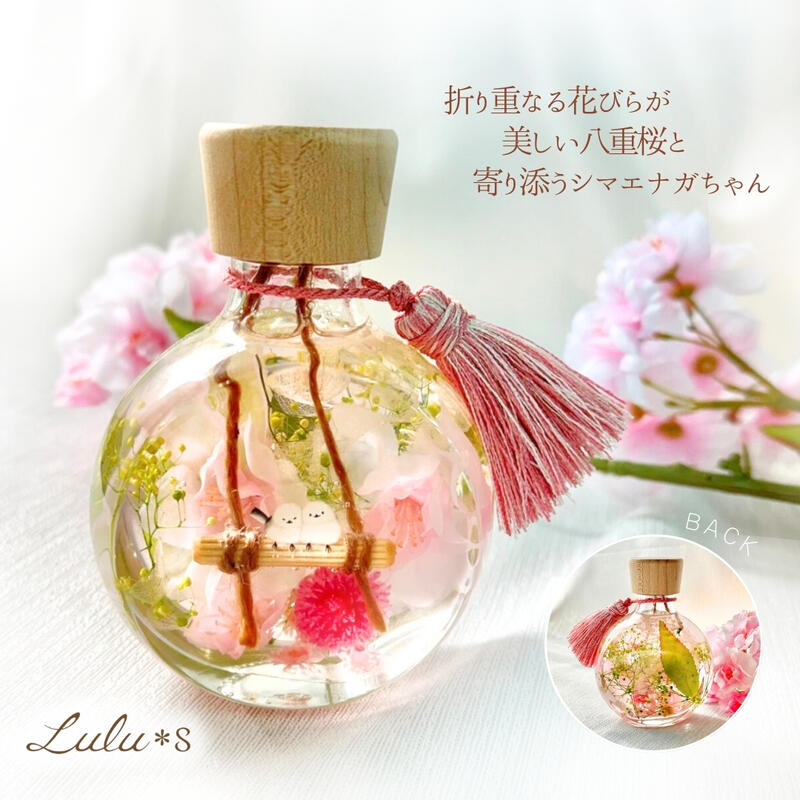 Ȭ�ź� ���ޥ��ʥ� �ϡ��Хꥦ�� ������� �� ������ �ץꥶ���֥ɥե� �ɥ饤�ե� �İ��� ������ �ץ쥼��� ���ե� ���� ´�� ���� �࿦ ���� ���󥹥��Ǥ� �뺧�ˤ� �࿦�ˤ� ���� ��ǯ �࿦ ���� ���� �뺧�� �뺧��ǰ�� ��� ���ۤ��ˤ� ��Ź�ˤ� ��Ϸ����