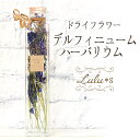 デルフィニューム ハーバリウム プリザーブドフラワー ドライフラワー 可愛い 誕生日 プレゼント ギフト 入学 卒業 入社 退職 秋冬 インスタ映え 結婚祝い 退職祝い 送別 定年 退職 女性 男性 結婚式 結婚記念日 内祝 引越し祝い 開店祝い ハロウィン クリスマス(4)