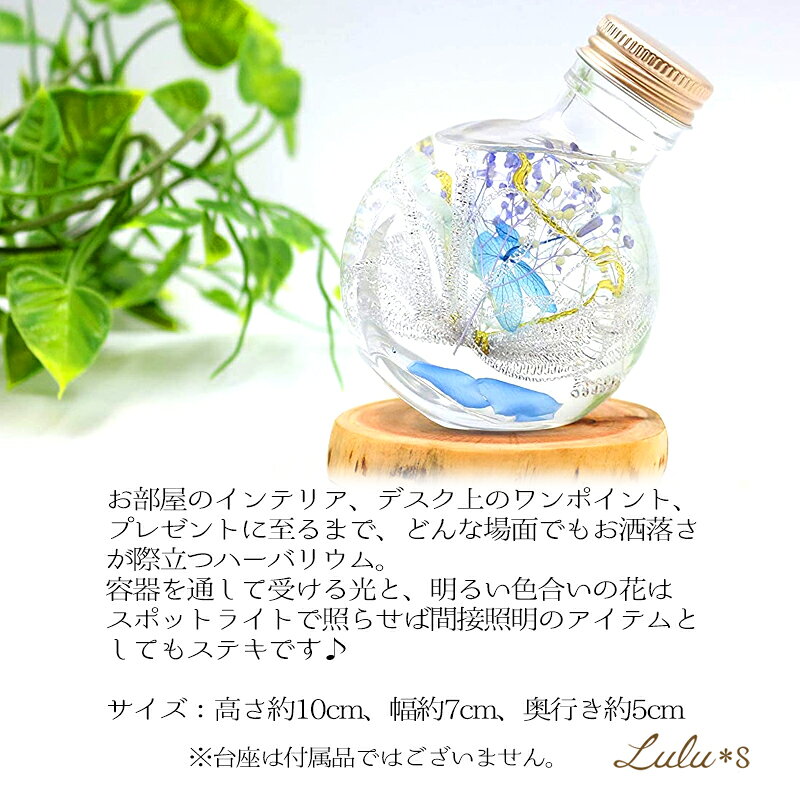 Lulu*s ルルズ お花とペット供養のハーバリウム フラワーリウム ～ブルー～ プリザーブドフラワー ドライフラワー 誕生日 プレゼント 母の日 贈り物 ギフト 入学 卒業 入社 退職 定年 新生活 Lulu's-1386 Lulu＊s ルルズ｜アングル2