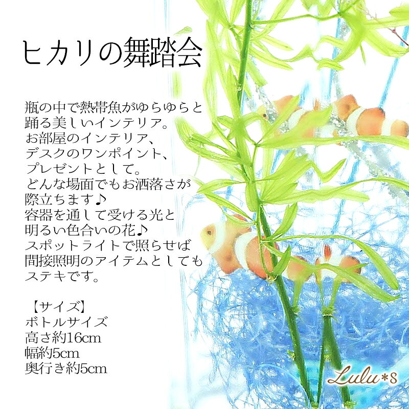 ハーバリウム ヒカリの舞踏会 プリザーブドフラワー ドライフラワー ボトルサイズ:...