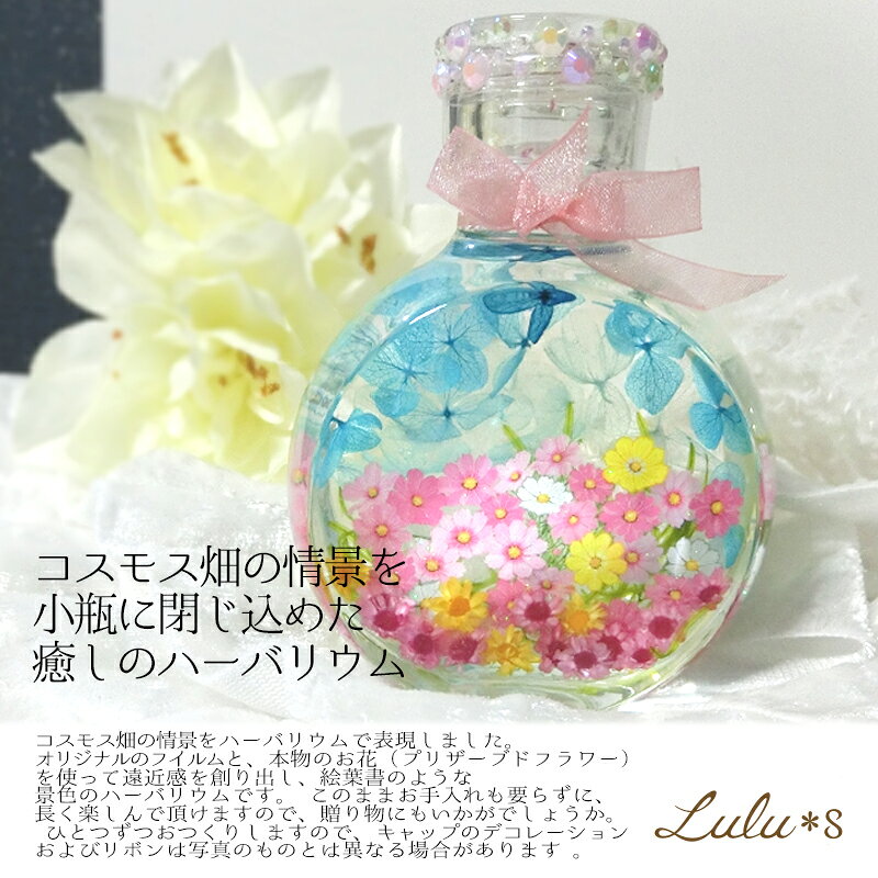 コスモス 畑 ハーバリウム 秋桜 プリザーブドフラワー ドライフラワー 花 フラワー...
