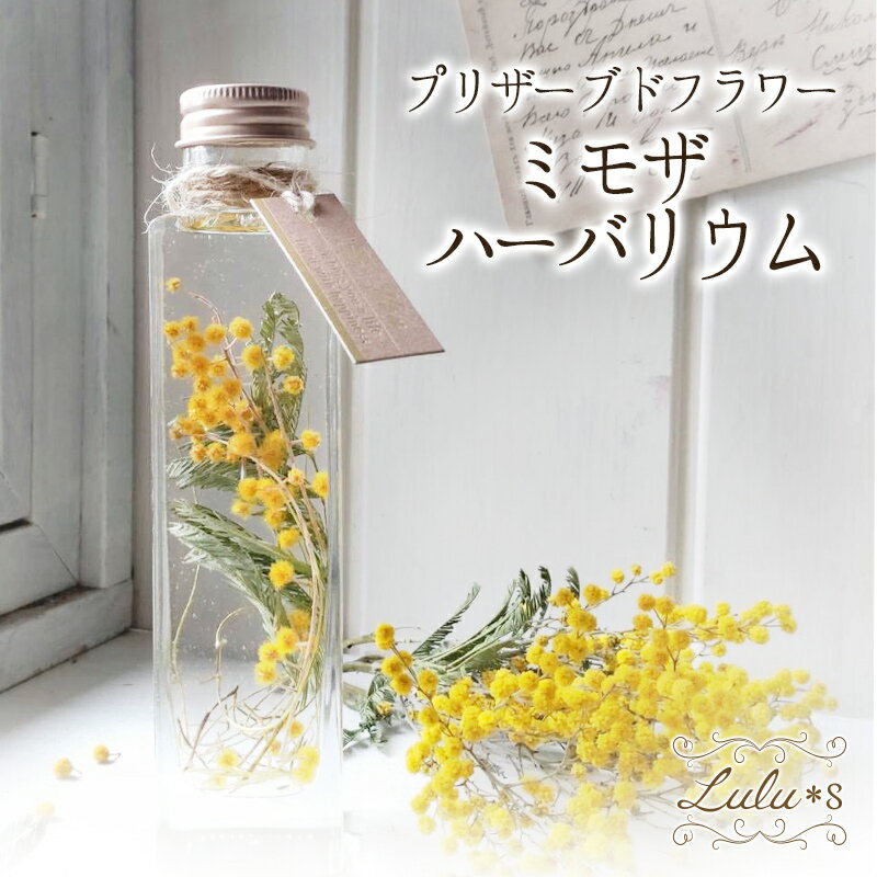 ミモザ ハーバリウム プリザーブドフラワー ドライフラワー フランス産 ミランドール 黄色 春 インテリア 雑貨 植物標本 角柱 ボトル ミモザの日 国際女性デー 母の日 ホワイトデー 誕生日 新築祝い プレゼント ギフト おしゃれ 日本製 Lulu＊s ルルズ