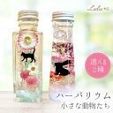 小さな動物たちのハーバリウム ねこ うさぎ 選べる プリザーブドフラワー ドライフラワー 可愛い 誕生日 プレゼント ギフト 入学 卒業 退職 秋冬 インスタ映...