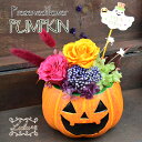 ハロウィン かぼちゃ パンプキン ジャック・オー・ランタン Jack-o'-Lantern ギフト プレゼント 花 結婚祝い 誕生日 退職祝い 送別 定年 退職 女性 男性 結婚式 結婚記念日 内祝 引越し祝い 開店祝い 敬老の日 還暦 古希 喜寿 傘寿 米寿 お仏壇 仏花 お供え