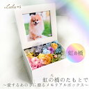 「虹の橋のたもとで」 虹の橋 アクセサリー フォトボックス プリザーブドフラワー 虹色 ペット 花 お供え お悔やみ フォトフレーム プリザーブド 写真立て ボ...