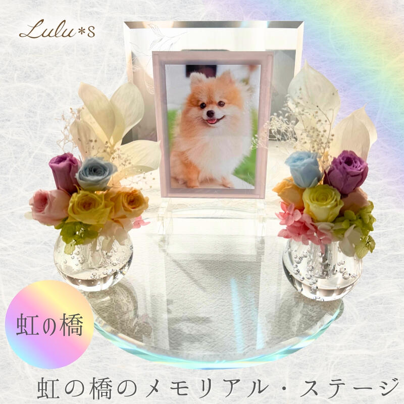 �����ζ��Υ��ꥢ�륹�ơ����� �ڥå�ʩ�� ���å� ���ꥹ���� ���饹 �ץꥶ���֥ɥե� (��Ω2�ġ��ե��ȥե졼����) [ ľ��23cm ] | �ڥå� ...