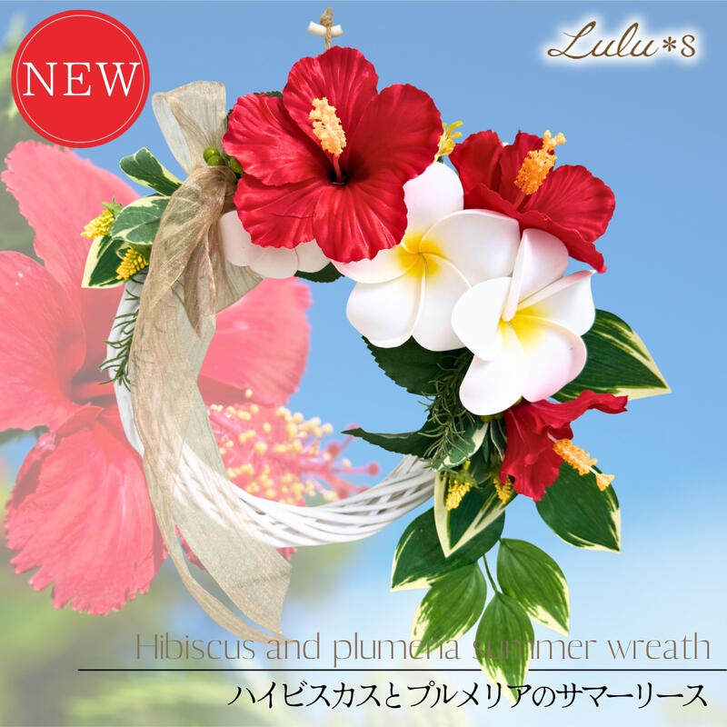 楽天市場】お見舞い（種類（植物）ハイビスカス）（花・ガーデン・DIY
