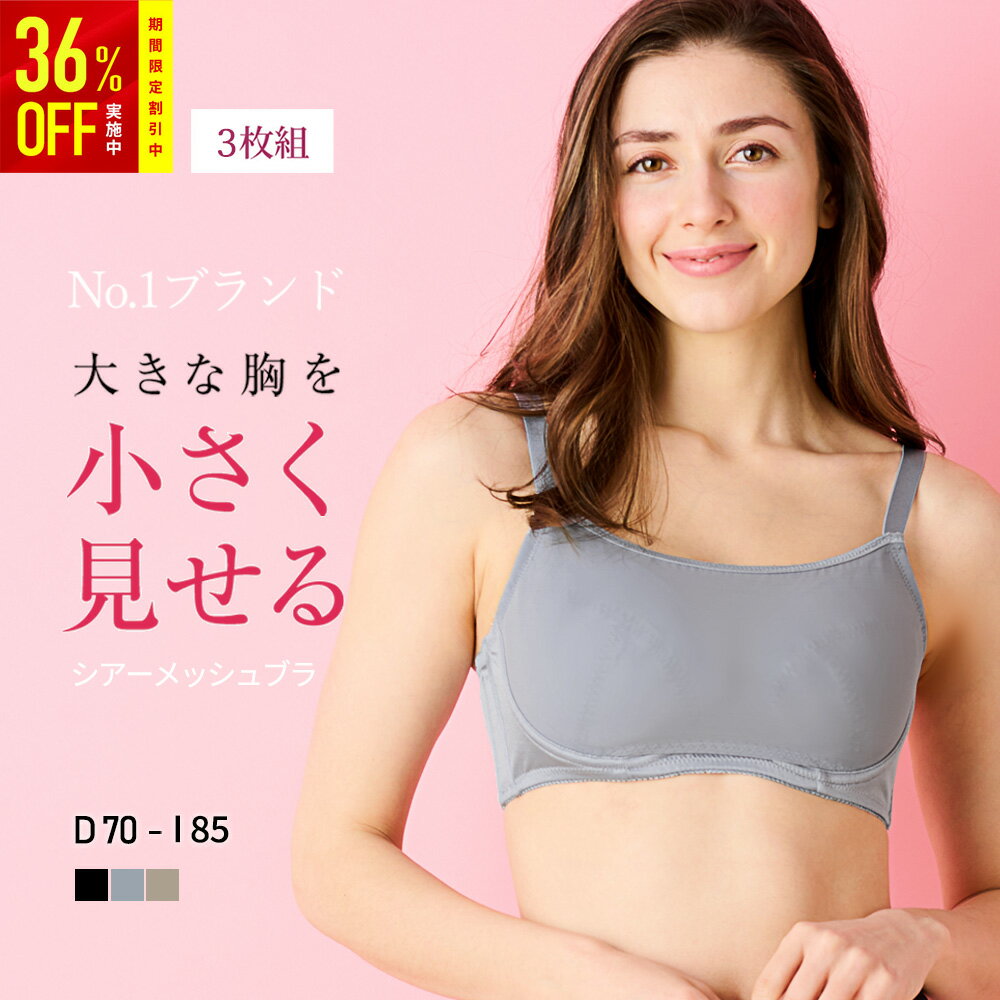 3枚組シアーメッシュブラ 胸を小さく見せるブラLULUSMARTBRA&reg; 通気性がよく、蒸れない シンプルなデザイン しっかりホールド 胸元スッキリ 着痩せブラ