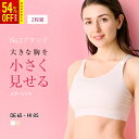 2枚組胸を小さく見せるブラ LULUSMARTBRA&#127276; 揺れない ノンワイヤーなのにしっかりホールド 抜群の安定感 スポブラ ブラジャー 着痩せブラ 大きな胸を小さく見せるブラ 胸を抑えるスポーツブラ 揺れない ルルスマートブラ