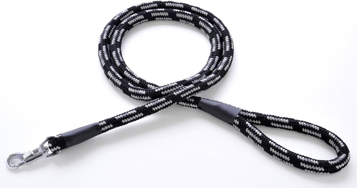 乐天商城 - 【訳あり】ペティオ (Petio) ベーシックプラス ネオンプラスリード ブラック 中型犬用 15mm 4903588558054 B004WI2CY8