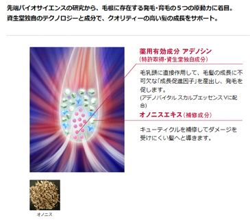 資生堂 ADENOVITAL アデノバイタル スカルプエッセンスV(180mL)&レフィル(480mL)2点セット【沖縄以外は送料無料】【福袋】【スキャルプ用】