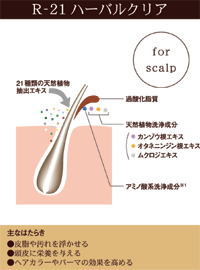 《セット販売》 コーセー スティーブンノル カラーコントロール ヘアパック W (220g)×6個セット 洗い流すヘアトリートメント カラーケア 【送料無料】 【smtb-s】