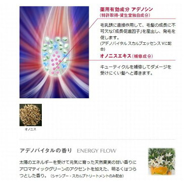 アデノバイタル GP スカルプトニック 200g (医薬部外品) 【資生堂 SHISEIDO】【アデノバイタル ADENOVITAL】