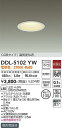 大光電機 ダウンライト DDL5102YW 工事必要 2