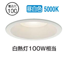 大光電機 屋内・屋外兼用ベースダウンライト DDL6134WW COBタイプ Φ100 昼白色 白熱灯100W相当 工事必要