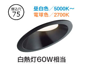樂天商城 - 大光電機 ダウンライト DDLCD024B 調光調色 信号線不要タイプ Φ75 白熱灯60W相当 工事必要