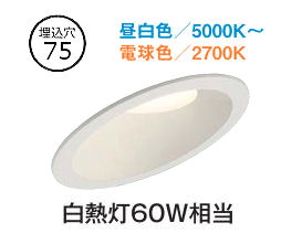 乐天商城 - 大光電機 ダウンライト DDLCD024W 調光調色 信号線不要タイプ Φ75 白熱灯60W相当 工事必要
