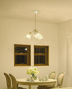 大光電機 小型シャンデリア DCH41553Y