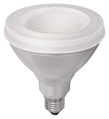 大光電機 ランプ DP38668YE（東芝OEM商品）