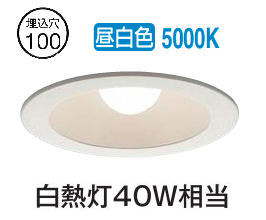 乐天商城 - 大光電機 ダウンライト DDL4763WW 工事必要