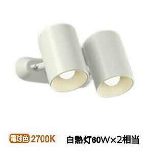 大光電機 直付型スポットライト 屋内用 DSL4897YW 工事必要